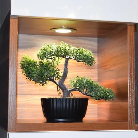 Apartment Amaya Plowdiw